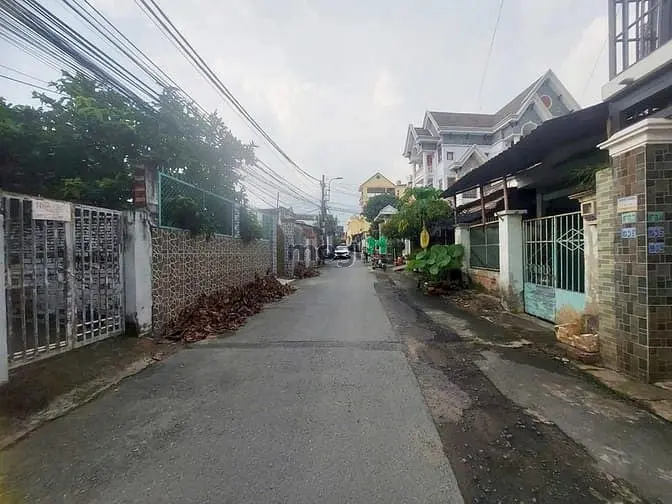 6041483 ảnh đại diện 1