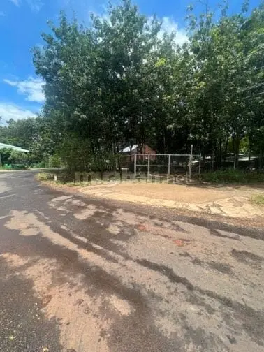 6041150 ảnh đại diện 1