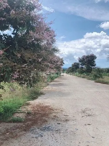 6041229 ảnh đại diện 1