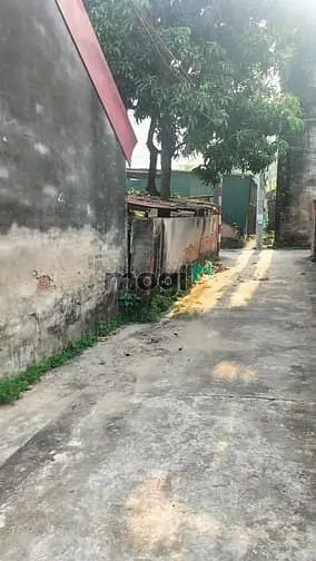 Kiêu Kỵ Cạnh Vinocp - 52M- Gần Trung Tâm Giá Tốt -Ô Tô Đỗ Cổng- Hơn 3T