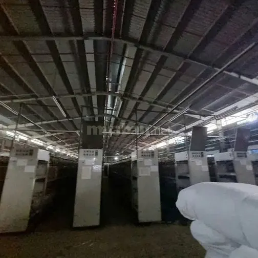 Cho Thuê Kho Xưởng 850M² Khuôn Viên 3000M² Đường Lê Đức Anh , Bình Tân
