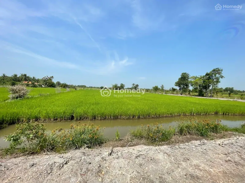 6041795 ảnh đại diện 1