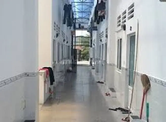 6041781 ảnh đại diện 1