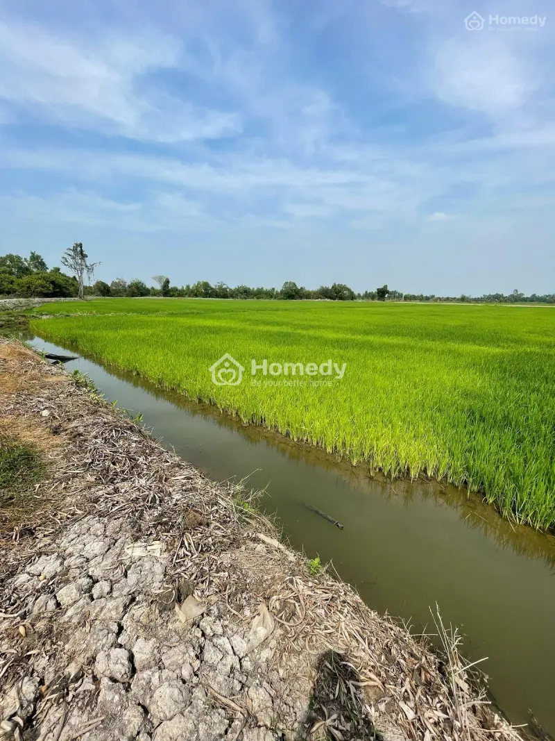 Bán Đất 6000 M2 Tại Xã Hòa Khánh Nam, Long An Cách Tphcm 40Km