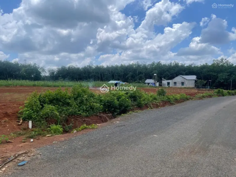 Cần Bán Gấp Lô Đất Diện Tích 2500M2, Giá Bán 1Tỷ2/Nền