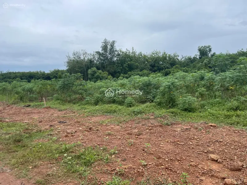 6041920 ảnh đại diện 1