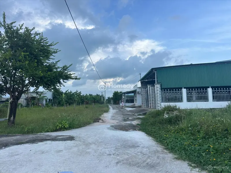 6041963 ảnh đại diện 1
