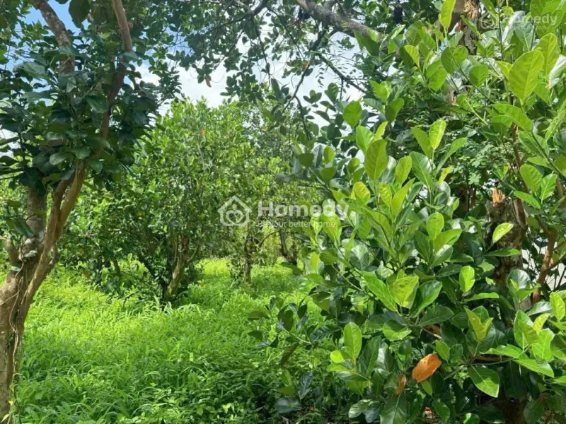 6041919 ảnh đại diện 1