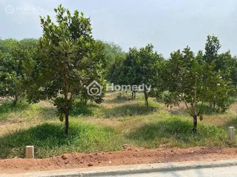 Sở Hữu Lô Đất 300M2 Với Giá 150Tr Mặt Tiền Đường Nhựa, Gần Chợ An Thái Tại Tphcm