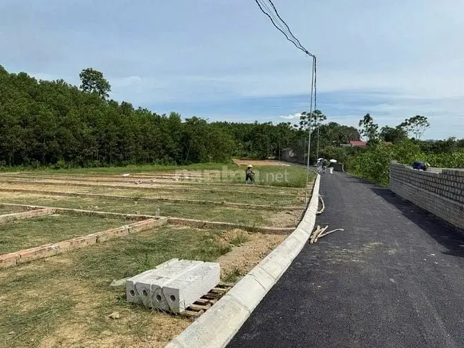 6042126 ảnh đại diện 1