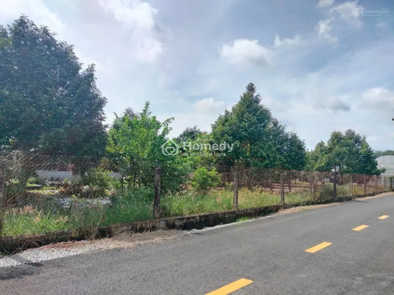 6041839 ảnh đại diện 1