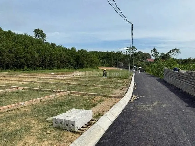 🔥 Sở Hữu Ngay Lô Đất Vàng – Giá Rẻ Bất Ngờ!
