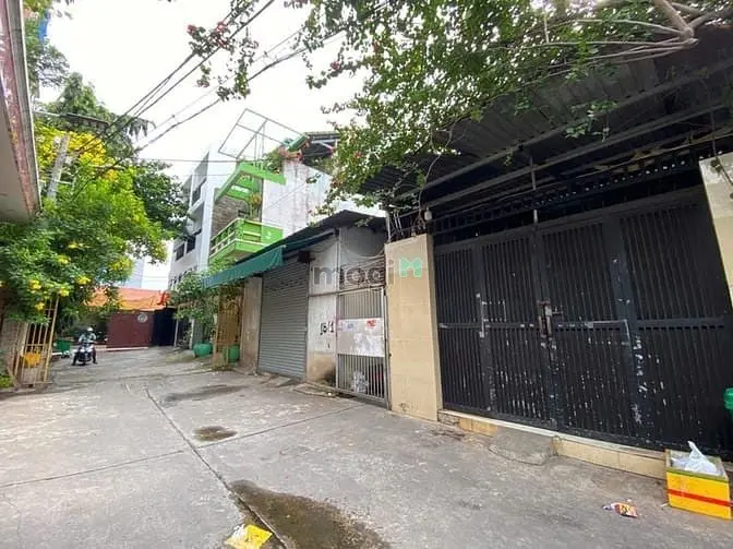 6042236 ảnh đại diện 1
