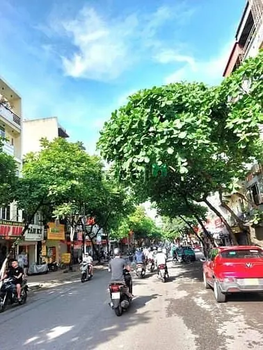 6042612 ảnh đại diện 1