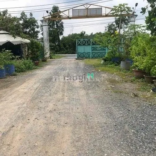 Cho Thuê Kho Xưởng 1.000M² Tại Củ Chi – Giá 45Tr/Tháng