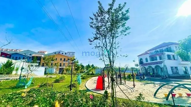 6042583 ảnh đại diện 1