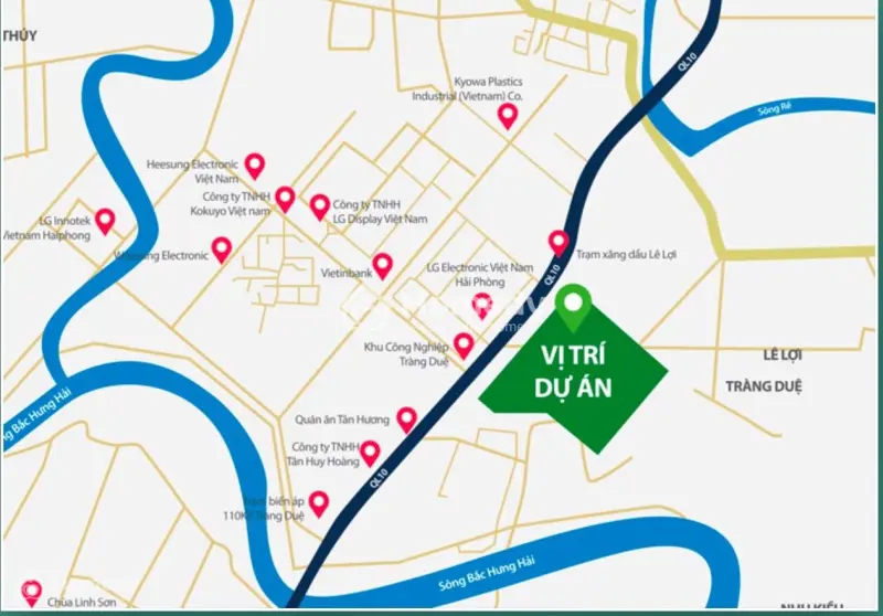 6042471 ảnh đại diện 1