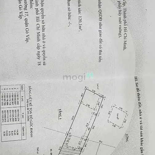 6042610 ảnh đại diện 1
