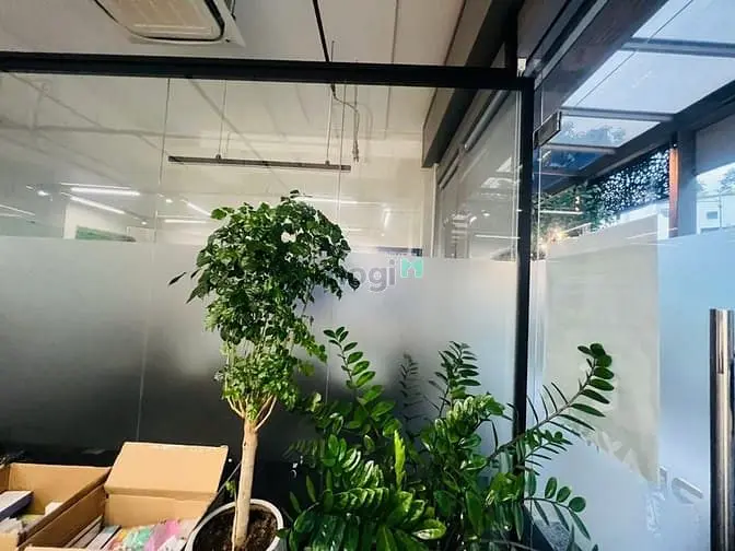 6042579 ảnh đại diện 1