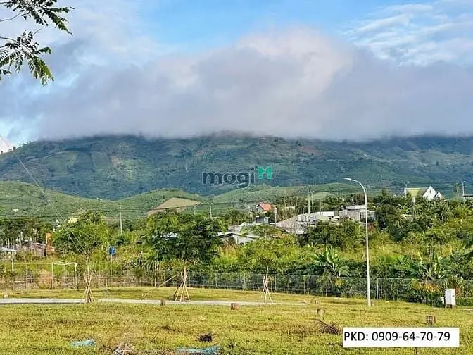 🌟👉 Đầu Tư Phú Gia Bảo Lộc- Vốn Nhỏ- Cơ Hội Lớn