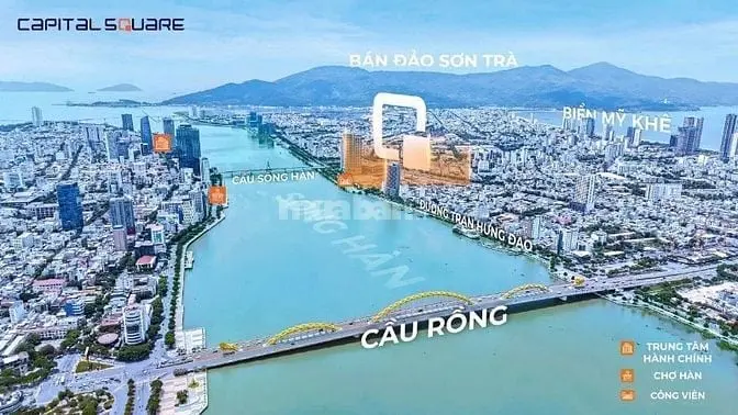 6042454 ảnh đại diện 1