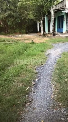 6042310 ảnh đại diện 1