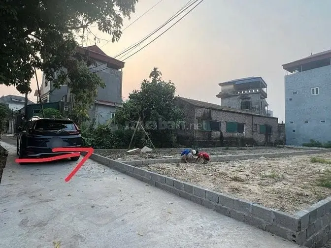 6042189 ảnh đại diện 1
