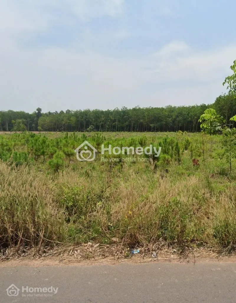 6042376 ảnh đại diện 1