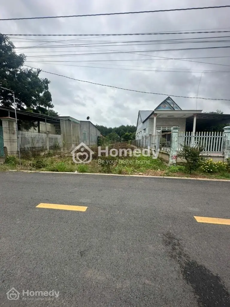 6042493 ảnh đại diện 1