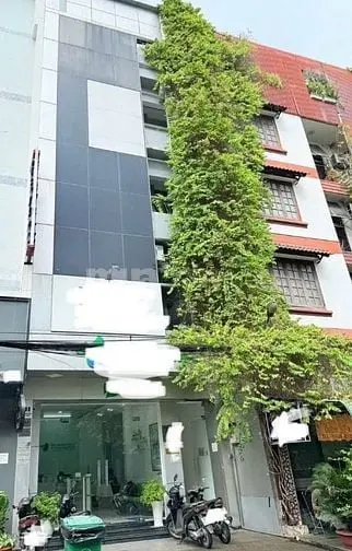 Hạ Giá Bán Gấp Nhà Mặt Tiền Trần Thiện Chánh – P.12, Quận 10