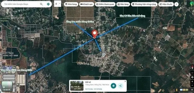 6042443 ảnh đại diện 1