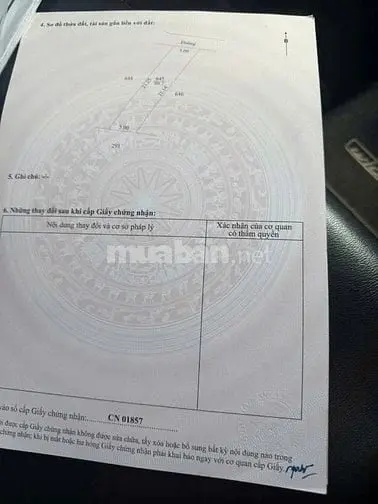 6042188 ảnh đại diện 1