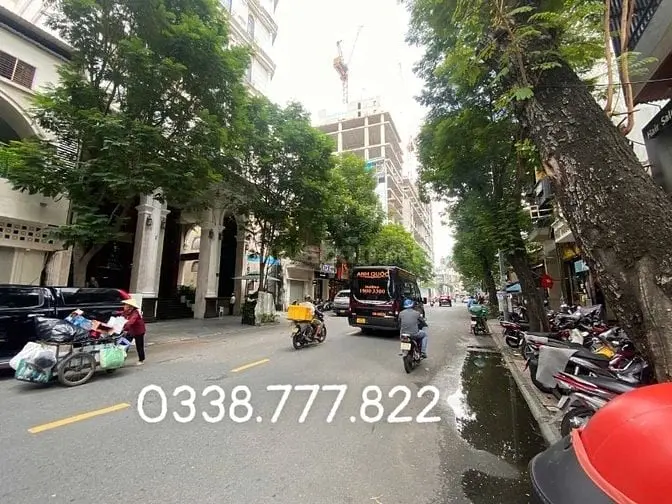 6042365 ảnh đại diện 1