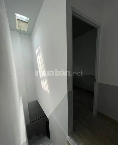 6042882 ảnh đại diện 1