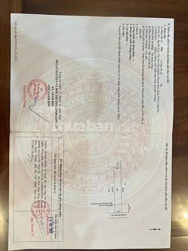 Bán Đất Chỉnh Chủ Long An, Sổ Hồng Riêng