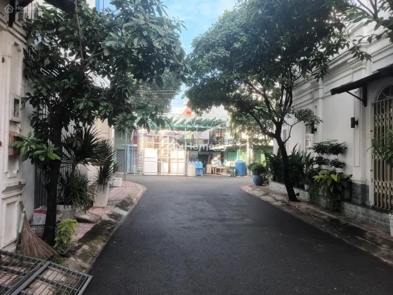 6042833 ảnh đại diện 1
