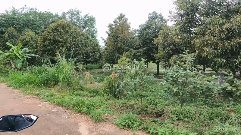 Em Cần Bán Lô 300M2 Ngay Sau Lưng Chợ An Linh, Phú Giáo. Sát Trường,Ubnd,..Giá Bao Sổ 650Tr