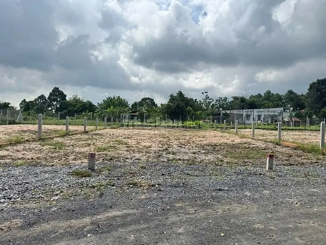 6042845 ảnh đại diện 1
