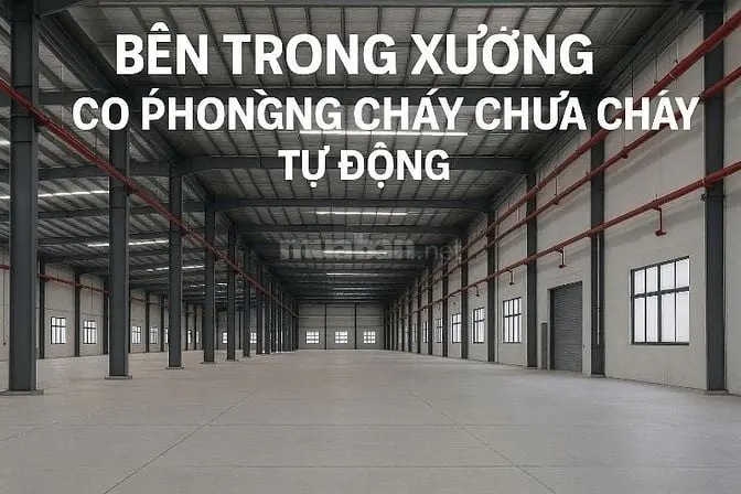 Cho Thuê Kho Xưởng Kcn Tân Phú Trung, Củ Chi, Pccc Tự Động , Dock Cont