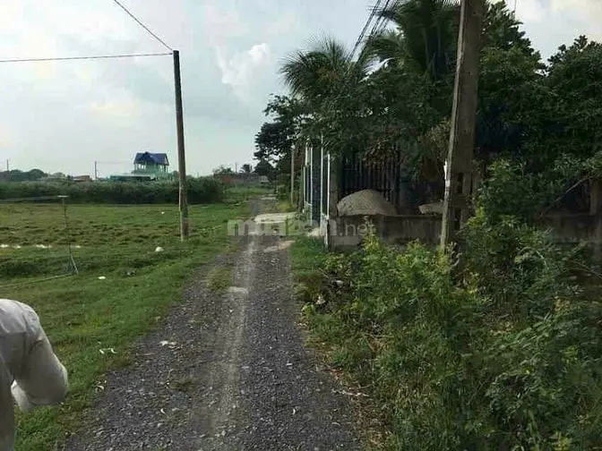 Bán Đất Chỉnh Chủ Long An, Sổ Hồng Riêng