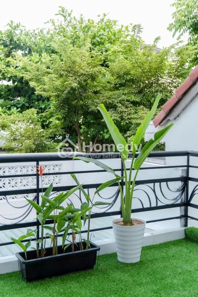 Nhà Quận Sơn Trà - Khu Phố Hàn - Dòng Tiền 600Tr/Năm