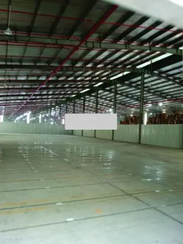 6042794 ảnh đại diện 1