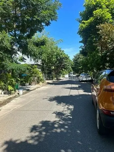 6042799 ảnh đại diện 1
