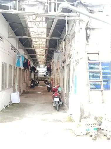 6042889 ảnh đại diện 1