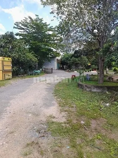 6042750 ảnh đại diện 1