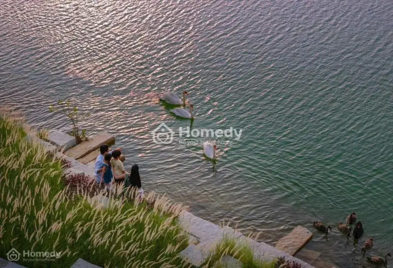 Cần Vốn Bán Lô Đất Nền Tái Định Cư Eco Bến Lức Chính Chủ