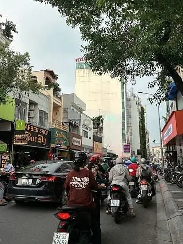 6043615 ảnh đại diện 1