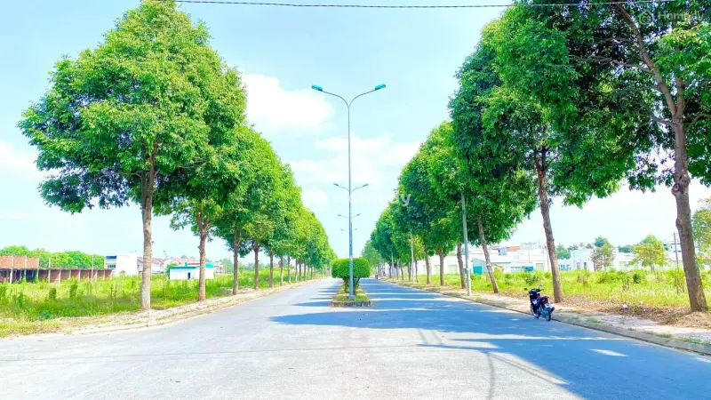 6043309 ảnh đại diện 1
