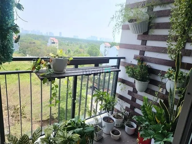 6043730 ảnh đại diện 1