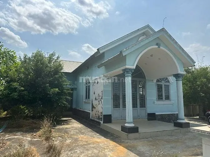 1,626M2, Có 704 Thổ +922V + Nhà Lai, Đường Xh, Long Khê, Cần Đước, La